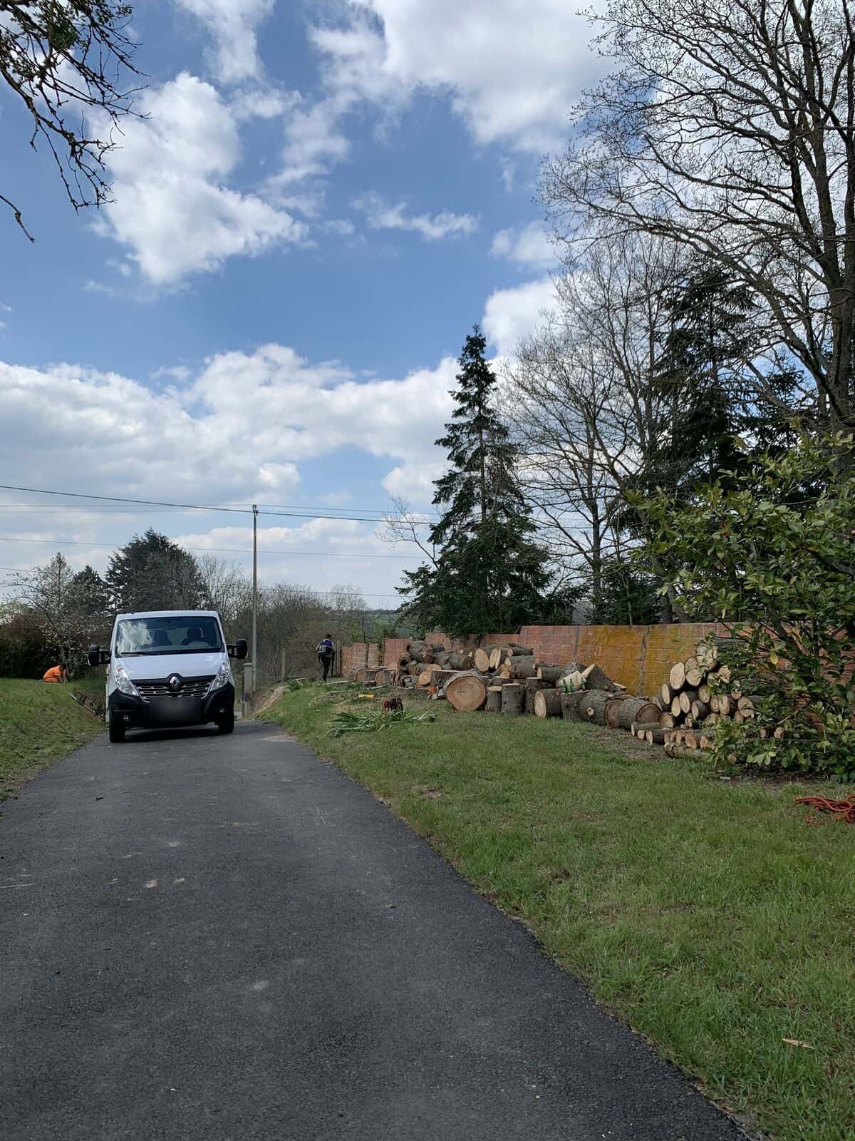 Bois débité et rangé le long d’un mur après un abattage