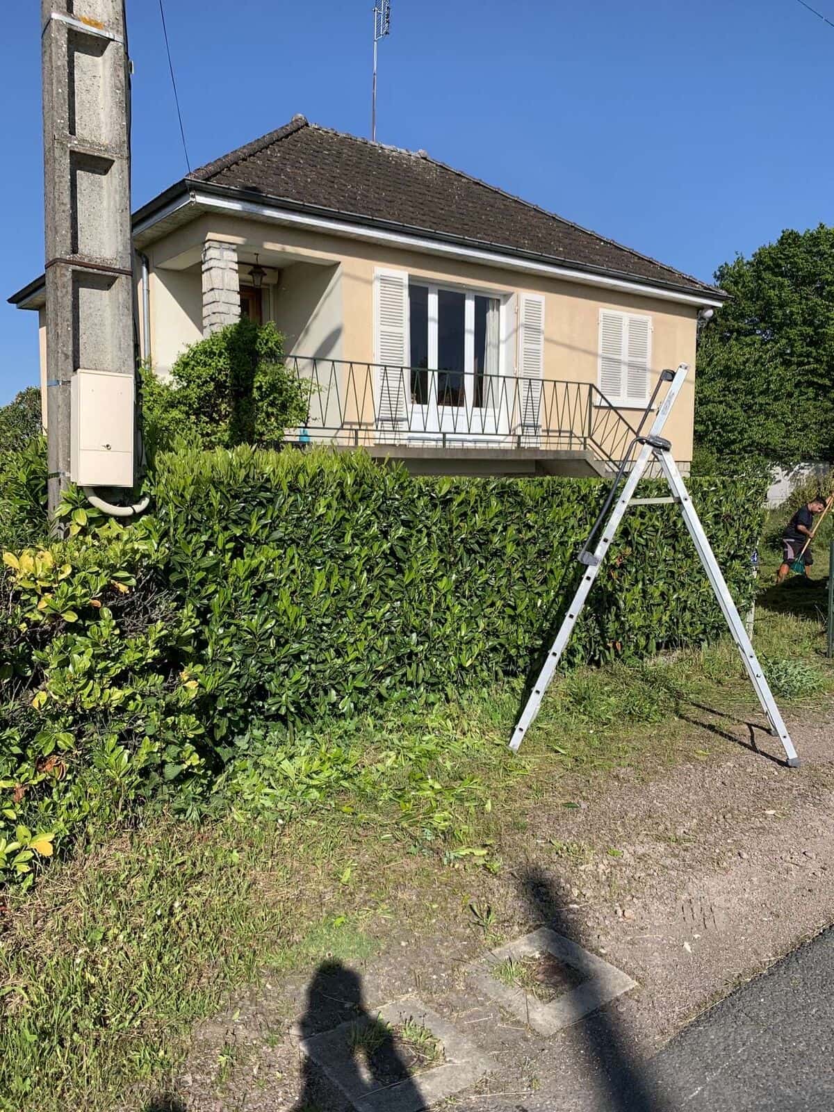 Haie en cours de taille devant une maison, un escabeau posé contre elle
