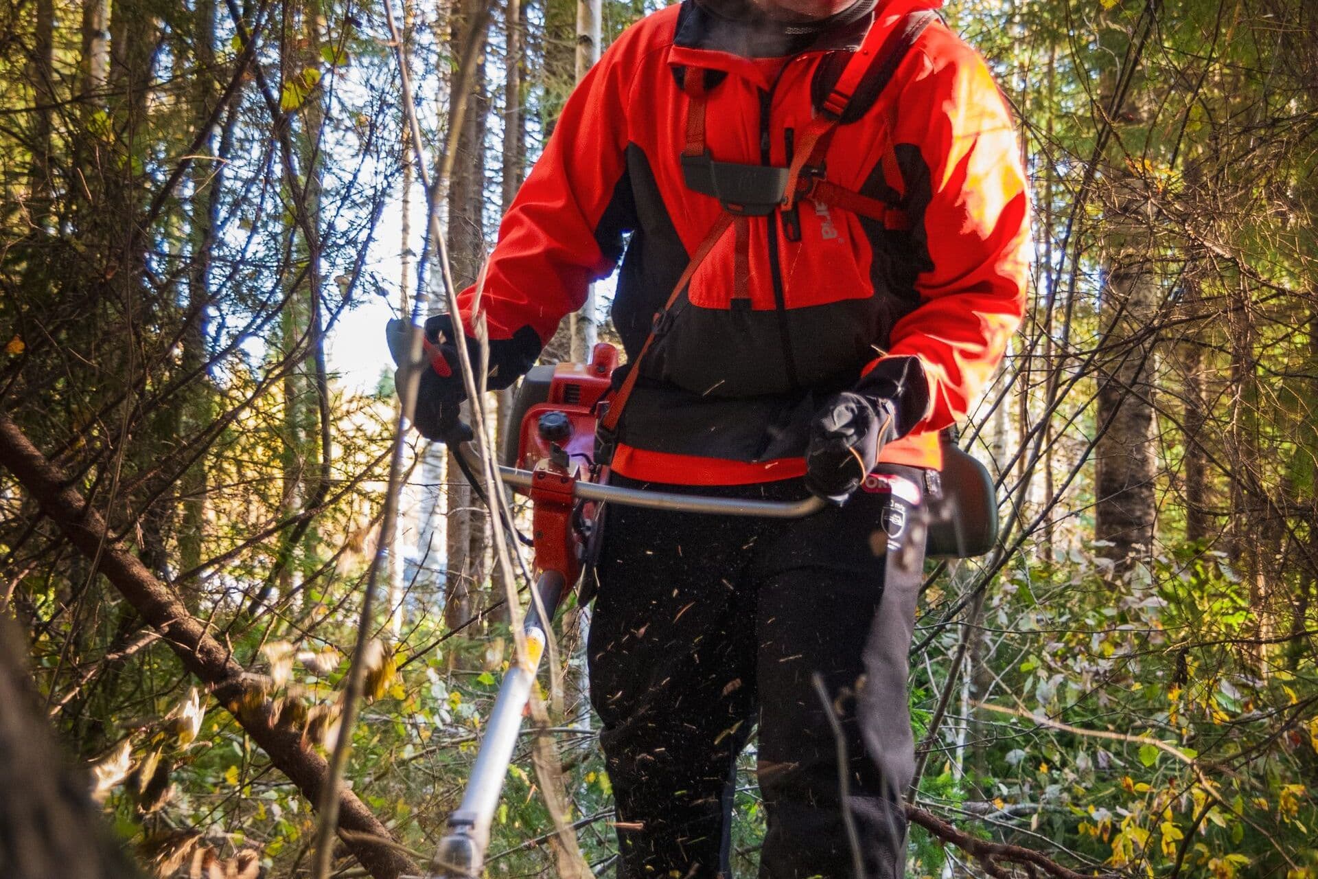 Débroussaillage d’un sous-bois à la débroussailleuse, en tenue de protection